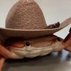 toastedfish43