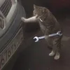 massamassssssa