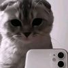 3sestry_aas