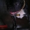 samuellopez77263