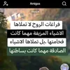 saidasaida8520