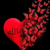 ex_tt99