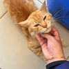 mmeoowwwmeow