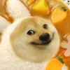 karedog
