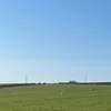 shlobert_