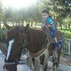 ahmedhamdi6459