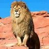 yasyr.abady