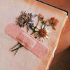 hana_barkat