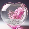 anoodq86