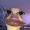 rereycewek