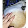 punamislam1