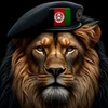 mastan_kabul_4d