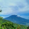 muhamadridwanfi72