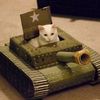 lince_902