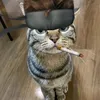 oliwierek010