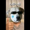 userfe5u7fnayk