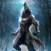 lobo_soli_tario_
