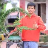 nguyen_nhim_bonsai