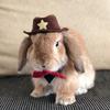 cowboybunnybeep