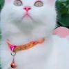 ninasah607