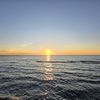 unknown_907420