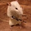 tactical_hamster