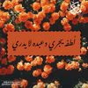 user84021958449411