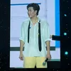 hongmai_211