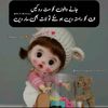 mirhashazdi123