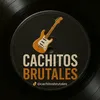 Cachitos brutales