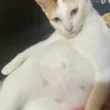 periodtmother
