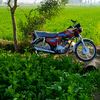 saifullahlashari78