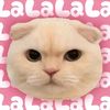 urlove_ninnnn