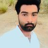 shahaid024