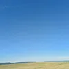 lina_6616