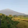 mmatahari3