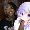 xxnano_