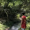 markkevinalmonia