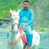 zaheerabbasi2836