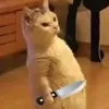 hfhcvj3