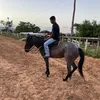 j_pzin2