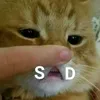 youme2550