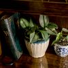 halfling_hearth