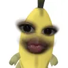 krlztql