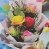 guli_xamin