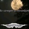 claudigonzalez462