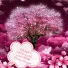 asdzxfcg320
