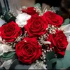 yasmin_.936
