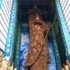 hoangba1102