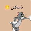 lslm.tlm
